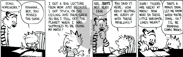 Calvin and Hobbes - Saturday December 2, 1989 Comic Strip