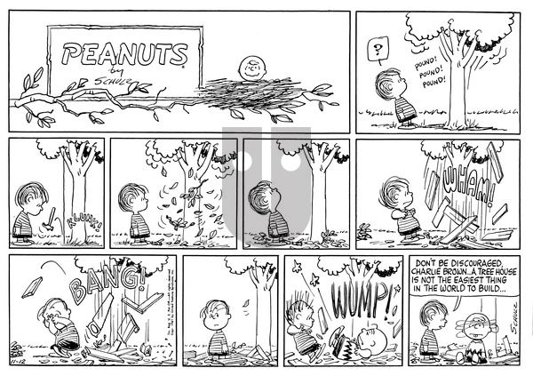 Peanuts on Sunday November 12, 1961 Comic Strip