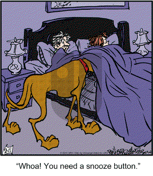 Marmaduke on Monday February 11, 2013 Comic Strip