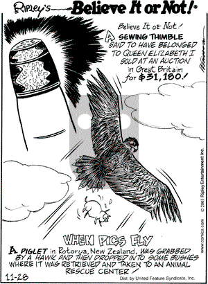 Ripley's Believe It or Not on Friday November 28, 2003 Comic Strip