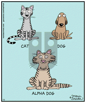 Half Full - Wednesday July 2, 2014 Comic Strip