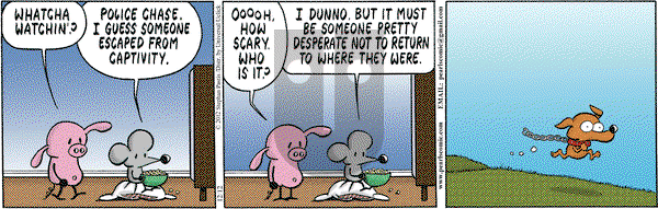 Pearls Before Swine on Wednesday December 12, 2012 Comic Strip