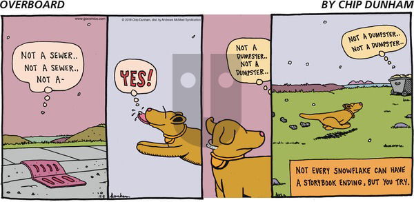 Overboard on Sunday December 8, 2019 Comic Strip