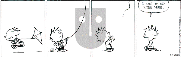 Calvin and Hobbes - Friday March 17, 1995 Comic Strip