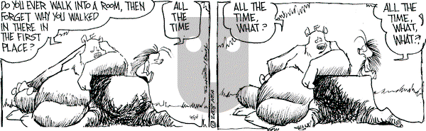 The Grizzwells on Tuesday June 24, 2008 Comic Strip