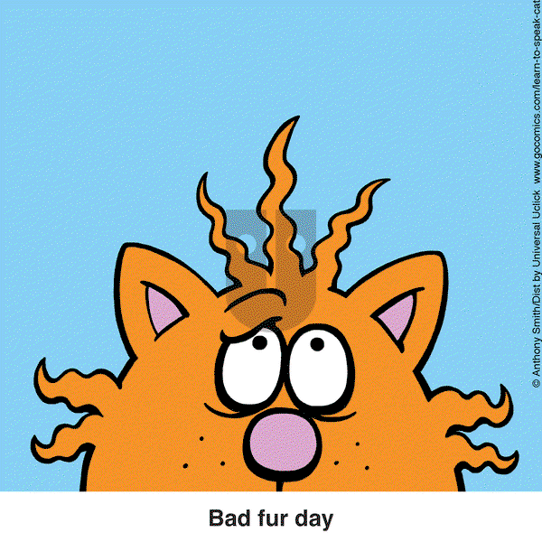 Learn to Speak Cat on Thursday March 27, 2025 Comic Strip