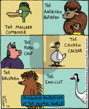 The Argyle Sweater on Thursday July 9, 2009 Comic Strip