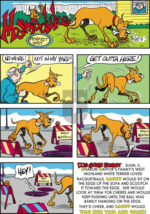 Marmaduke on Sunday October 9, 2016 Comic Strip