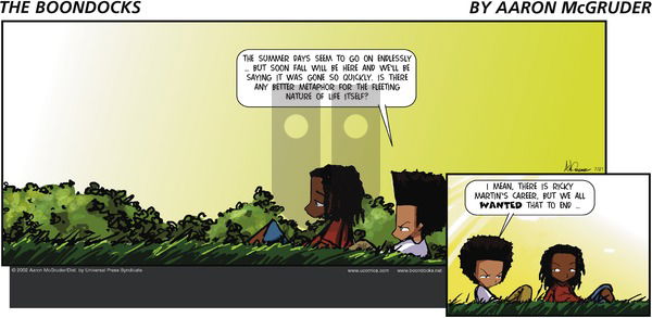 The Boondocks on Monday December 16, 2002 Comic Strip