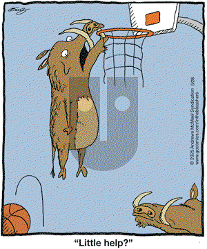 In the Bleachers on Wednesday May 28, 2025 Comic Strip