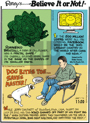 Ripley's Believe It or Not on Saturday November 20, 2010 Comic Strip