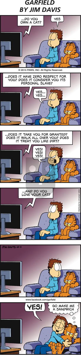 Garfield on Sunday October 11, 2015 Comic Strip