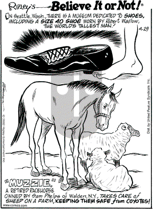 Ripley's Believe It or Not on Monday April 29, 2002 Comic Strip