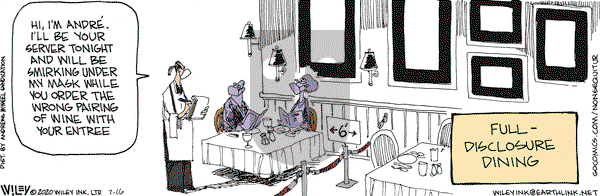 Non Sequitur - Thursday July 16, 2020 Comic Strip