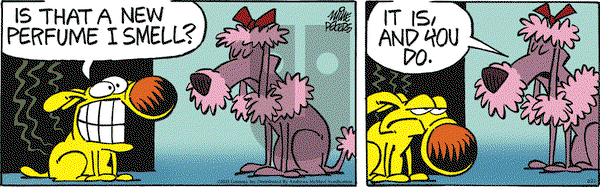 Mother Goose and Grimm on Monday February 24, 2025 Comic Strip