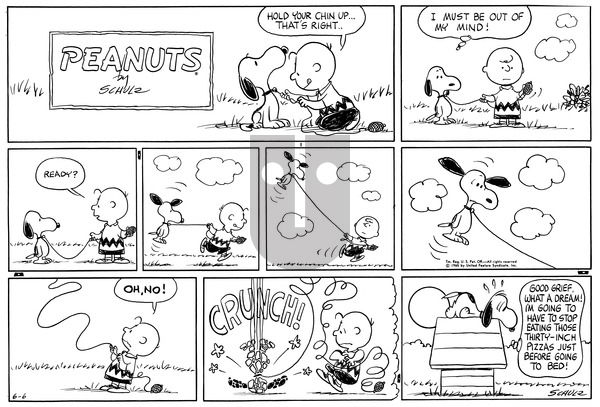 Peanuts on Sunday June 6, 1965 Comic Strip