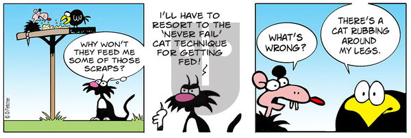 Crumb on Friday March 14, 2025 Comic Strip