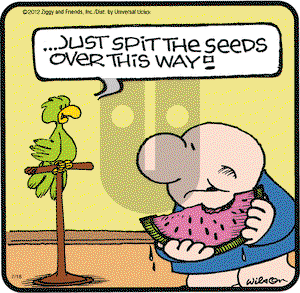 Ziggy on Wednesday July 18, 2012 Comic Strip