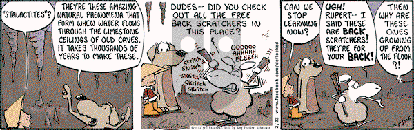 DeFlocked on Saturday February 23, 2013 Comic Strip