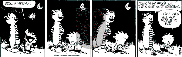 Calvin and Hobbes - Wednesday July 1, 1987 Comic Strip