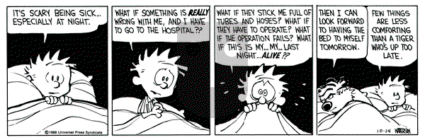 Calvin and Hobbes on Friday October 14, 1988 Comic Strip