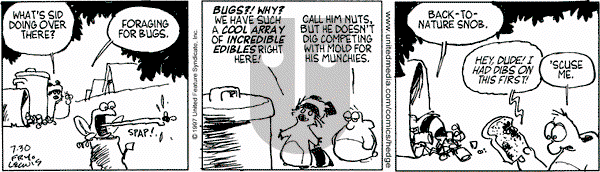 Over the Hedge on Wednesday July 30, 1997 Comic Strip