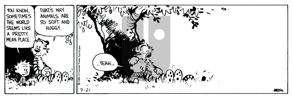 Calvin and Hobbes - Thursday September 21, 1989 Comic Strip
