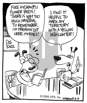 Reality Check on Tuesday June 6, 2000 Comic Strip