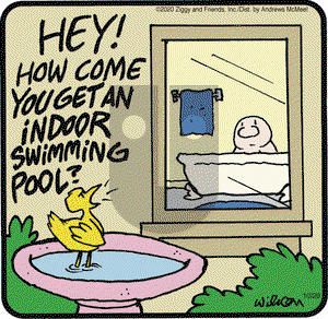 Ziggy on Thursday October 29, 2020 Comic Strip