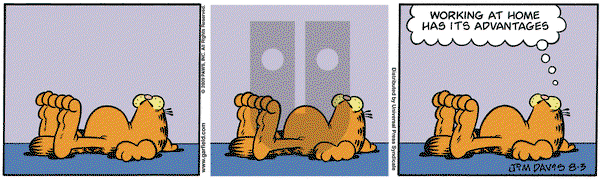 Garfield on Monday August 3, 2009 Comic Strip