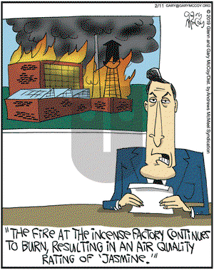 The Flying McCoys on Monday February 11, 2019 Comic Strip
