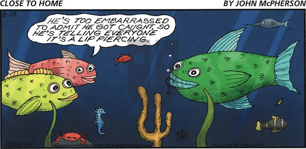 Close to Home on Sunday August 25, 2024 Comic Strip