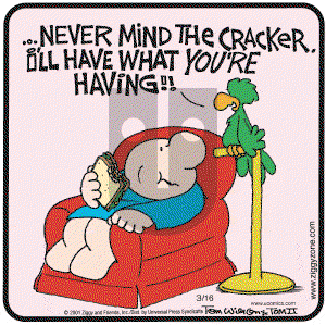 Ziggy - Wednesday March 16, 2005 Comic Strip