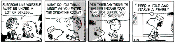 Peanuts on Friday February 20, 1987 Comic Strip