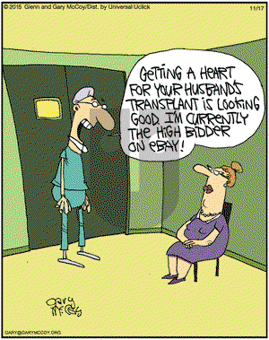 The Flying McCoys on Tuesday November 17, 2015 Comic Strip