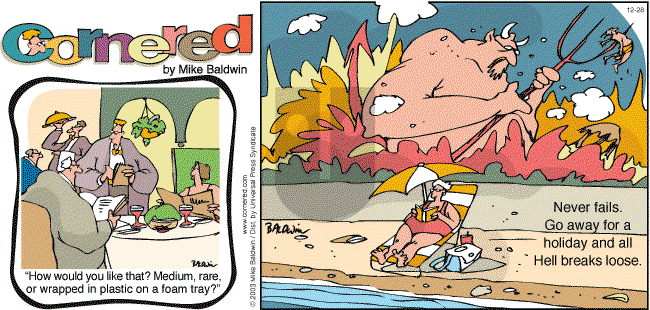 Cornered on Wednesday February 25, 2004 Comic Strip