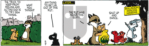 Over the Hedge on Wednesday June 5, 2013 Comic Strip