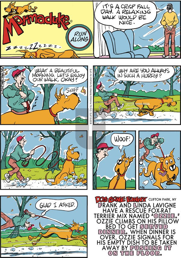 Marmaduke on Sunday November 25, 2018 Comic Strip