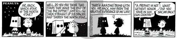 Peanuts on Saturday June 30, 1973 Comic Strip
