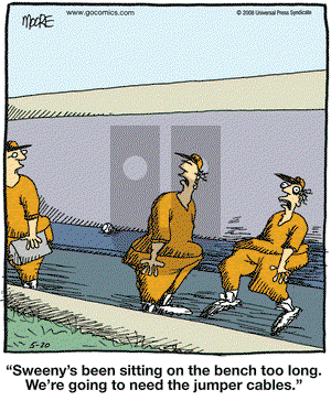 In the Bleachers on Tuesday May 20, 2008 Comic Strip