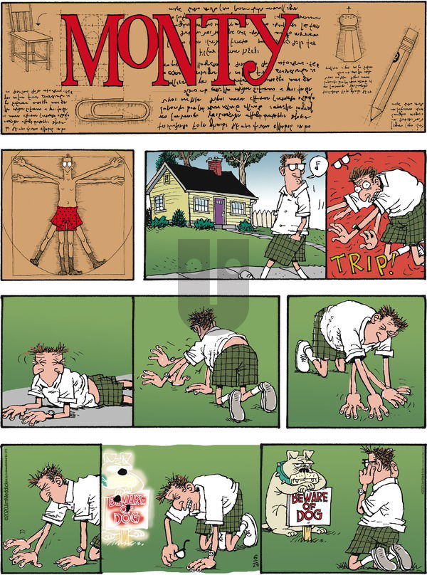 Monty on Sunday June 28, 2020 Comic Strip