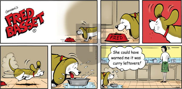 Fred Basset on Sunday January 16, 2011 Comic Strip