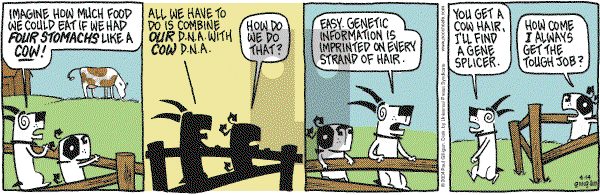 Pooch Cafe on Thursday April 15, 2004 Comic Strip
