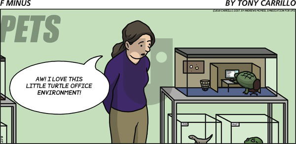 F Minus on Sunday June 17, 2018 Comic Strip