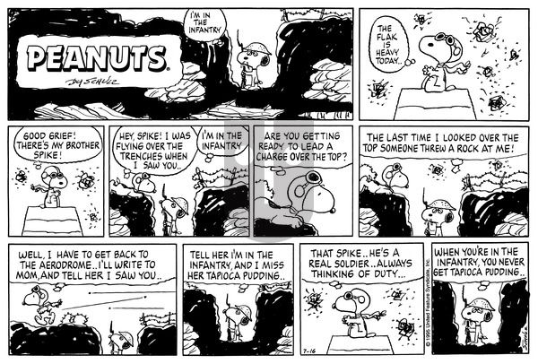 Peanuts on Sunday July 16, 1995 Comic Strip
