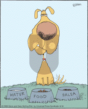 The Flying McCoys on Monday June 16, 2008 Comic Strip