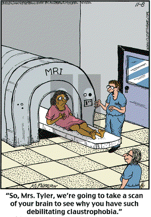 Close to Home on Friday November 8, 2024 Comic Strip