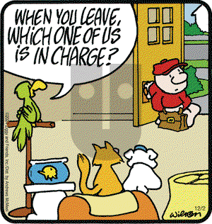 Ziggy - Monday December 2, 2024 Comic Strip