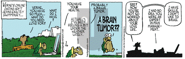 Over the Hedge on Friday February 16, 2007 Comic Strip