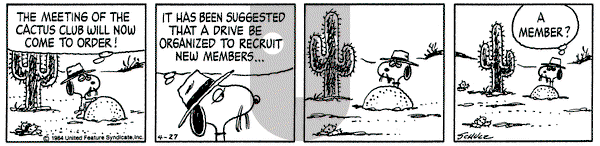 Peanuts on Friday April 27, 1984 Comic Strip